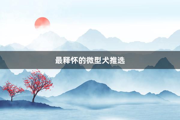 最释怀的微型犬推选