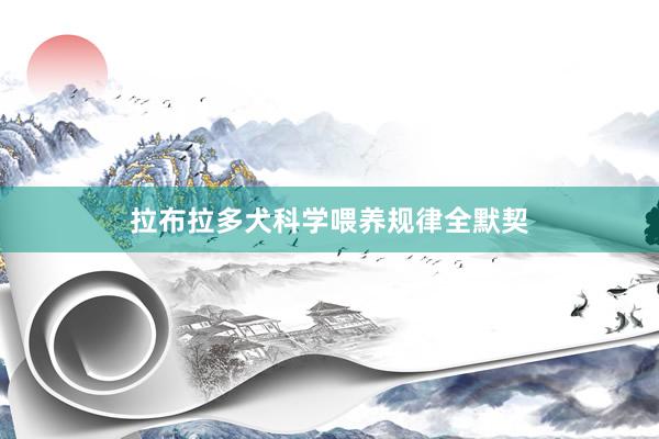 拉布拉多犬科学喂养规律全默契